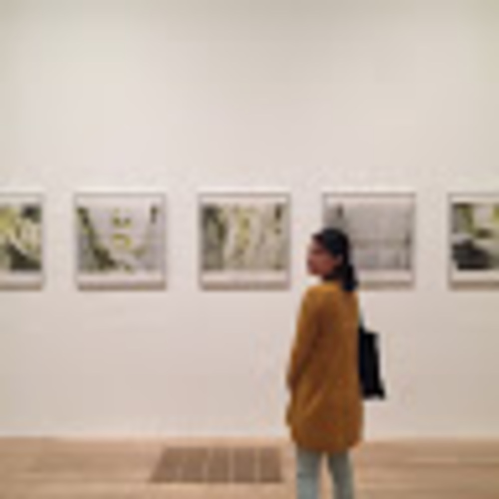 Meet your Posher, Clara